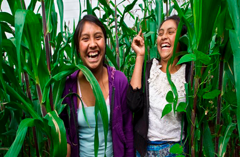 jovenes guatemaltecas